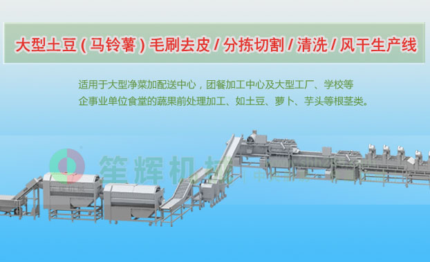 鲅鱼圈连续式土豆去皮清洗切割风干生产线